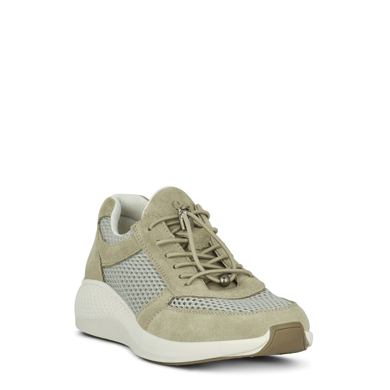 DOLPHIN DICTE - SAGE